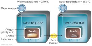 Calorimeter setup for measuring heat released