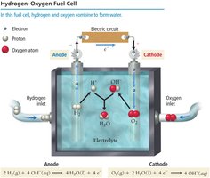 Hydrogen–Oxygen Fuel Cell diagram
