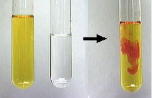 Color change in a chemical reaction