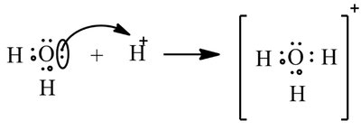 Lewis structure showing water donating a lone pair to H+