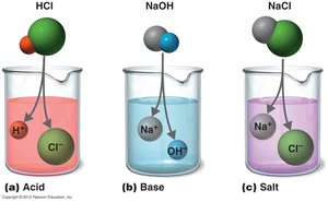 Acids, bases, and salts in solution