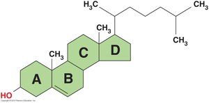 Steroid structure