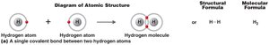 Single covalent bond between two hydrogen atoms