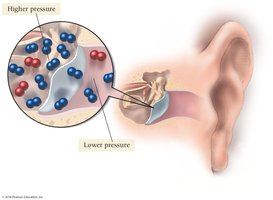 Pressure difference affecting the ear at altitude