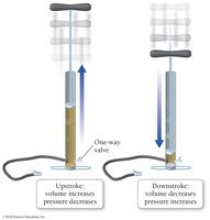 Bicycle pump illustrating Boyle's law