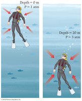 Scuba diver at different depths