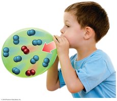 Blowing up a balloon increases the number of moles and volume
