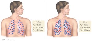 Oxygen toxicity at high partial pressures