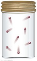 Gas particles in a container
