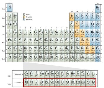 Periodic table highlighting actinides