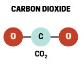 Carbon dioxide molecule (CO2)