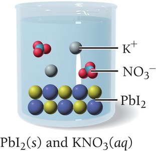 PbI2 precipitate and KNO3 in solution