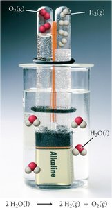 Examples of redox reactions