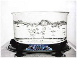 Boiling water: physical change, not a chemical reaction