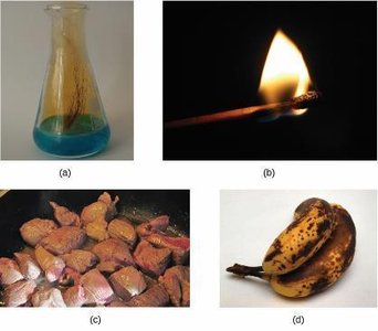 Examples of chemical changes: reactions, combustion, oxidation, browning