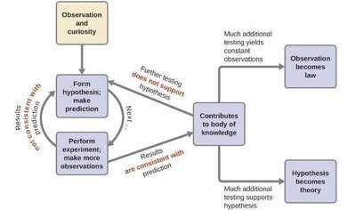 Flowchart of the scientific method