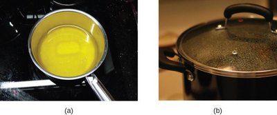 Physical changes: melting butter and condensation