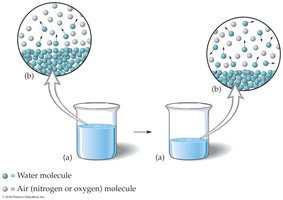 Scientific models representing invisible processes