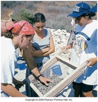 Students working together on a science project outdoors