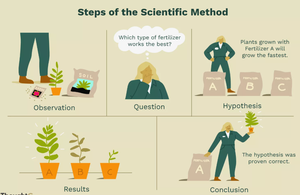 Steps of the scientific method illustrated with plant growth example