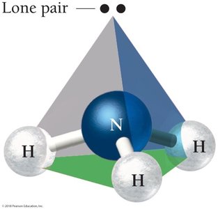 Trigonal pyramidal geometry of NH3