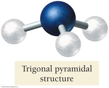 Trigonal pyramidal structure of NH3
