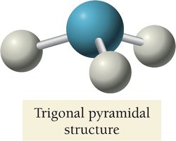 Trigonal pyramidal structure of NH3