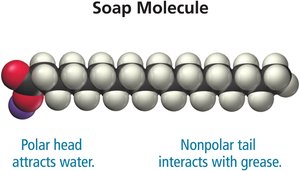 Soap molecule structure