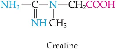 Structure of creatine