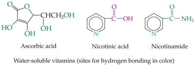 Structures of water-soluble vitamins