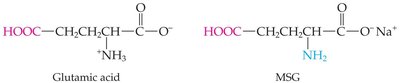 Structures of glutamic acid and MSG
