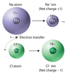 Periodic table of metals with invariant charges