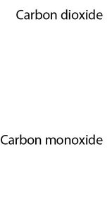 Carbon dioxide and carbon monoxide text