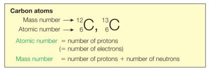 Carbon isotopes and atomic/mass number