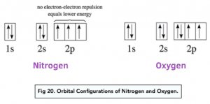Nitrogen and oxygen orbital configurations