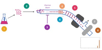 Stepwise diagram of mass spectrometry process