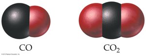 CO and CO2 molecular models