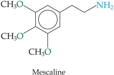Mescaline structure
