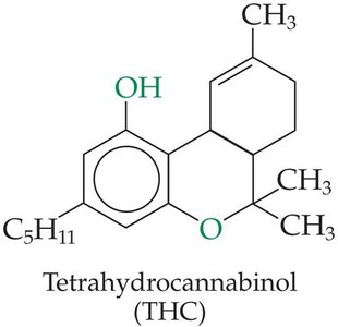 THC structure