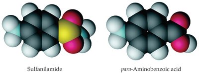 Sulfanilamide and para-aminobenzoic acid structures