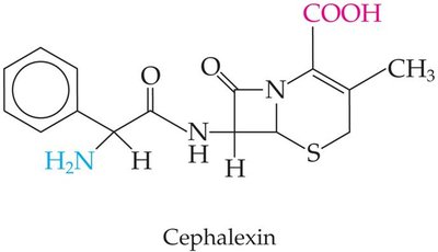 Cephalexin structure