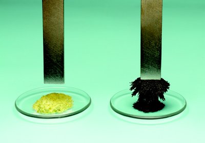 When iron and sulfur exist as pure substances, only the iron is attracted to a magnet.
