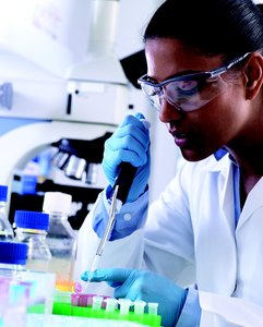 Scientists employ the scientific method every day in their laboratory work.