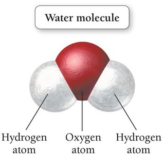 Diagram of a water molecule showing two hydrogen atoms and one oxygen atom