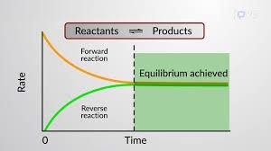 Graph showing rates of forward and reverse reactions reaching equilibrium