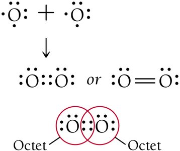 Diatomic elements with double bond