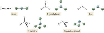 Major molecular geometries