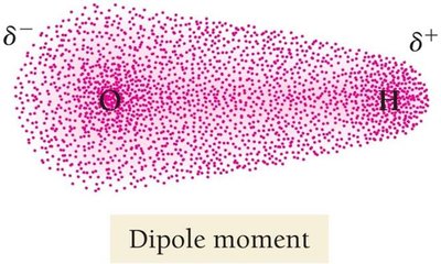 Dipole moment in water