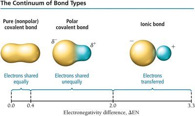 Continuum of bond types