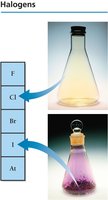 Halogens in the periodic table